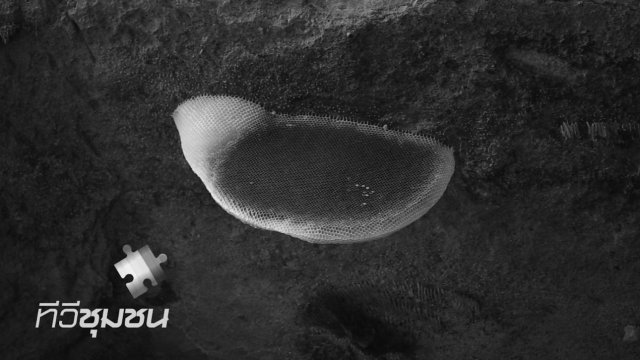 ปราสาทผึ้ง