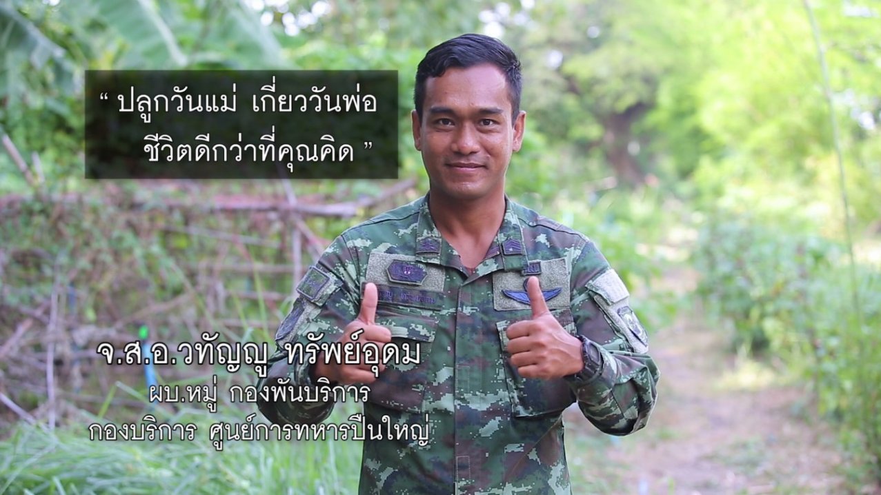 ปลูกวันแม่ เกี่ยววันพ่อ - ลดต้นทุนปุ๋ยและยาในนาข้าว