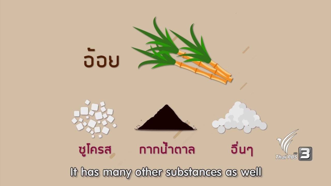 ข่าวค่ำ มิติใหม่ทั่วไทย - น้ำตาลทรายแดงมีปริมาณแคลอรีน้อยกว่าน้ำตาลทรายขาวจริงหรือไม่