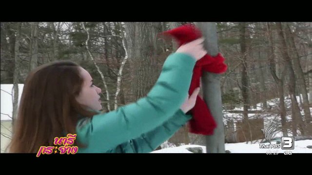 คลิปดีมีสาระ : ชาวอเมริกันผูกผ้าพันคอรอบต้นไม้ เพื่อคลายหนาวให้คนไร้บ้าน