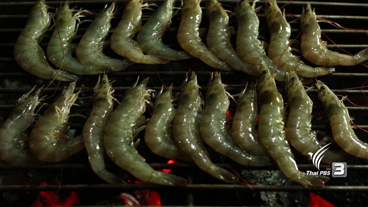 ทั่วถิ่นแดนไทย - นิเวศน์แห่งท้องทะเลตะวันออก บ้านแขมหนู จ.จันทบุรี