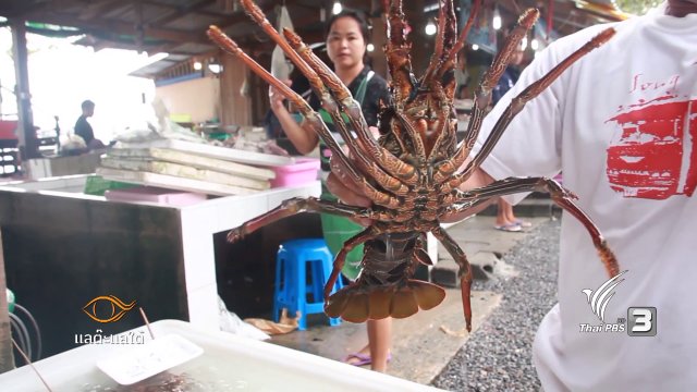 นักล่ากุ้งมังกร