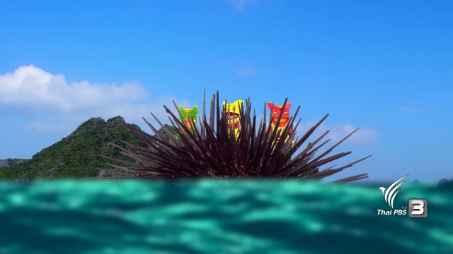 เม่นทะเลขึ้นบก