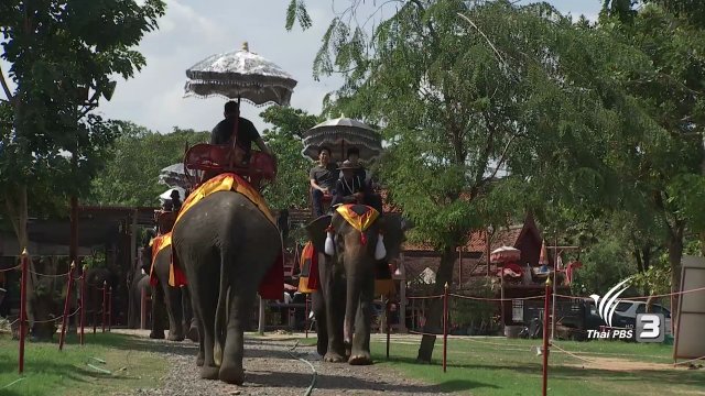 ช้างของพระราชา