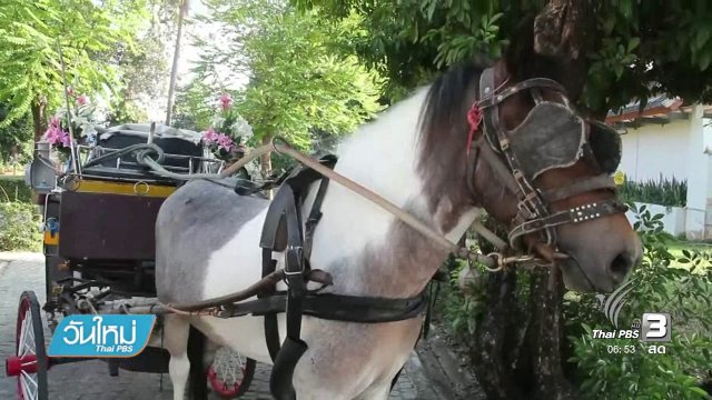 จ.ลำปาง เปิดตัว "รถม้ามิเตอร์"