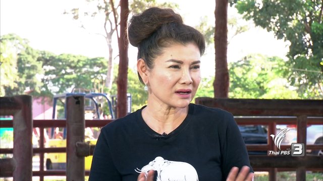 วิธีฝึกช้างทำการแสดง