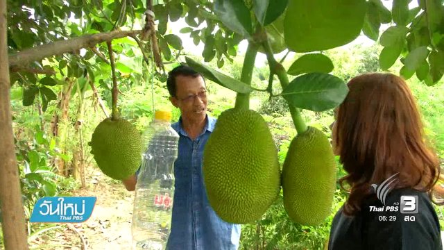 เกษตรบนหลักความพอเพียง