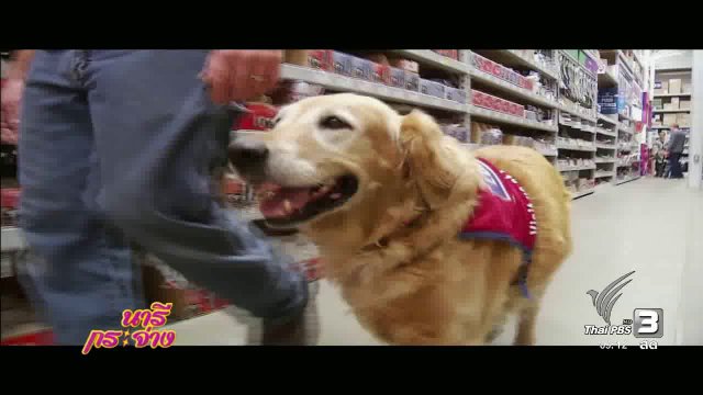 คลิปดีมีสาระ : 16 ธ.ค. 59