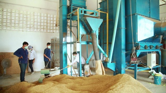 โรงสีข้าว