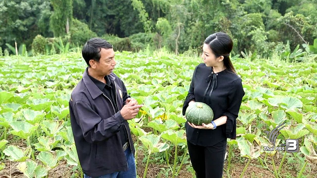 คนสู้โรค - รู้สู้โรค : ศูนย์พัฒนาโครงการหลวงม่อนเงาะ จ.เชียงใหม่