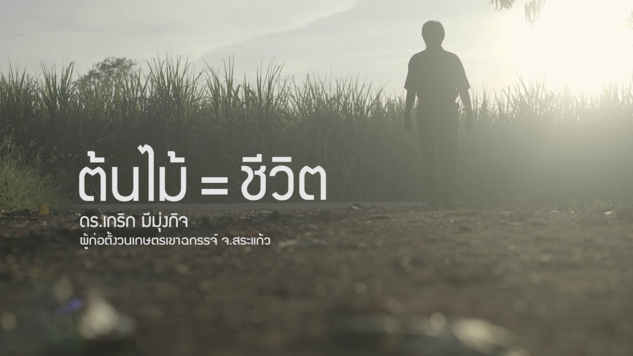 ร่วมฝันเพื่อเมืองไทย - ปณิธานต้นไม้ : ต้นไม้ = ชีวิต