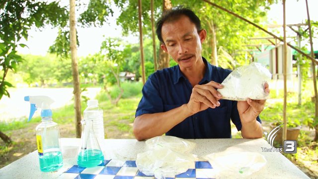 ข้าวสารเสก