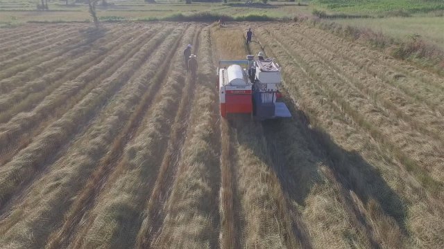 เฮ็ดนาเฮ็ดหยัง​