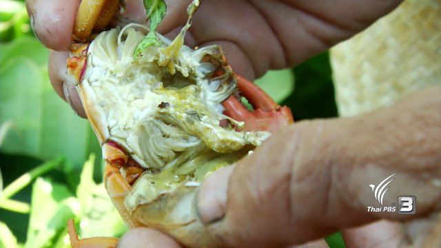 ตะลุยทั่วไทย : ปูหิน