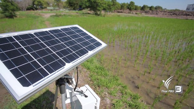 เทคโนโลยีคัดแยกเมล็ดพันธุ์