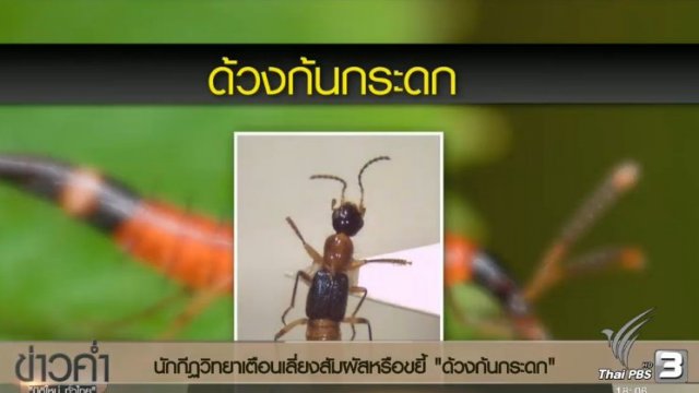 ประเด็นข่าว (23 ธ.ค. 59)