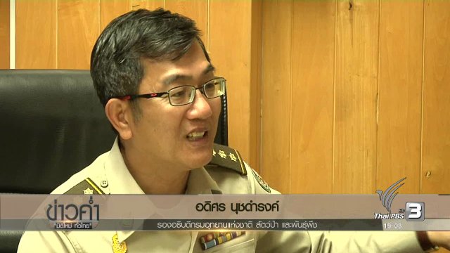 ประเด็นข่าว (25 ธ.ค. 59)