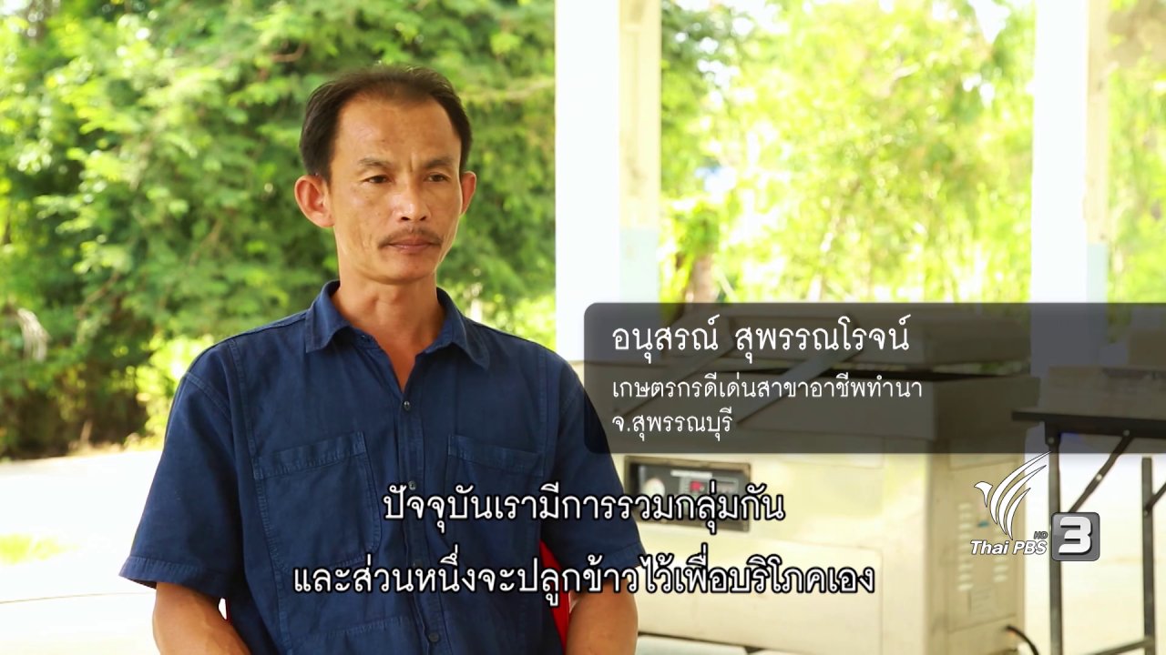 ปลูกวันแม่ เกี่ยววันพ่อ - การบรรจุและจัดจำหน่ายข้าว