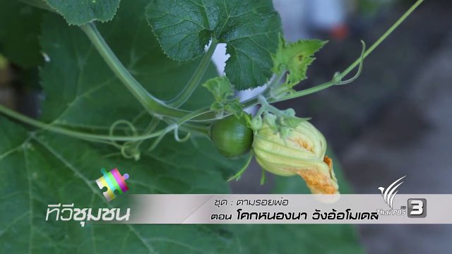 โคกหนองนา วังอ้อโมเดล