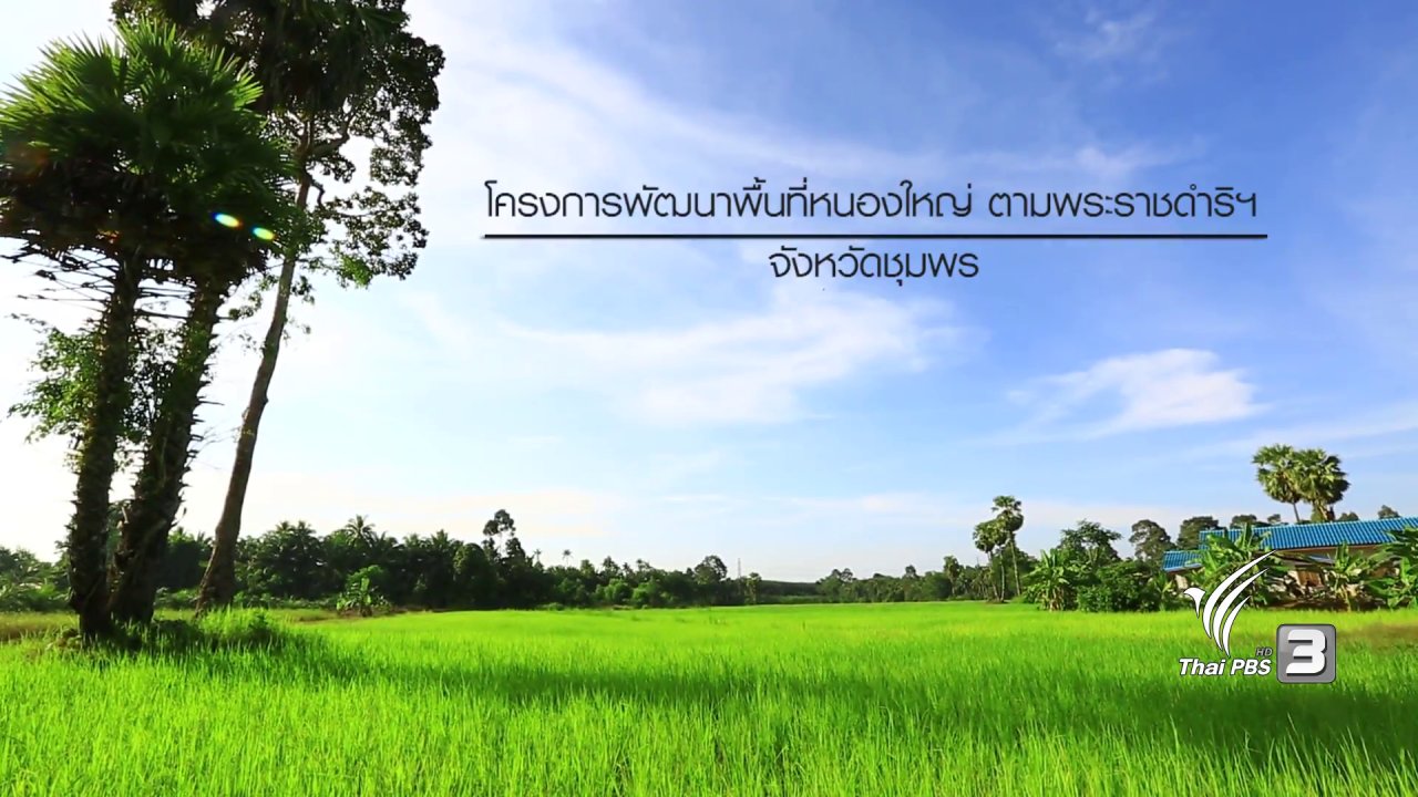 ทั่วถิ่นแดนไทย - ความสำเร็จที่ยั่งยืนตามศาสตร์พระราชา โครงการพัฒนาพื้นที่หนองใหญ่ตามพระราชดำริ จ.ชุมพร