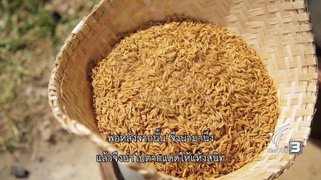 ข้าวกล้องงอก