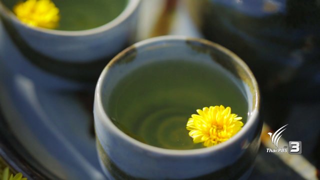 วิธีการทำเก๊กฮวยอบแห้ง และการทำน้ำเก๊กฮวย