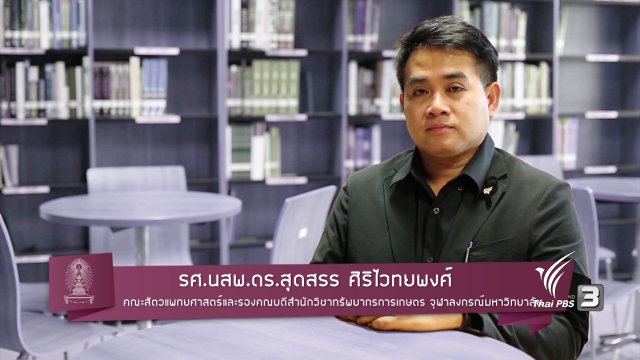 การทำหมันแมวดีหรือไม่