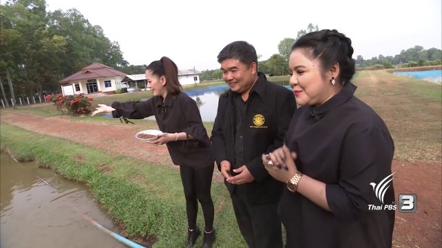 งานเพาะเลี้ยงด้านประมง