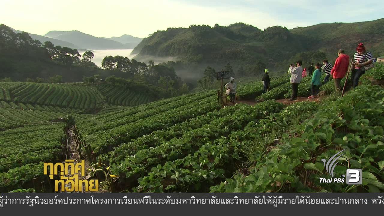 ทุกทิศทั่วไทย - สถานีเกษตรหลวงอ่างขาง จ.เชียงใหม่