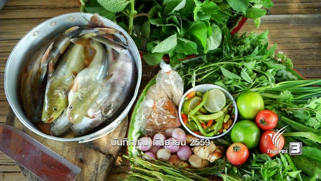 ตะลุยทั่วไทย : ปลาเผาะ