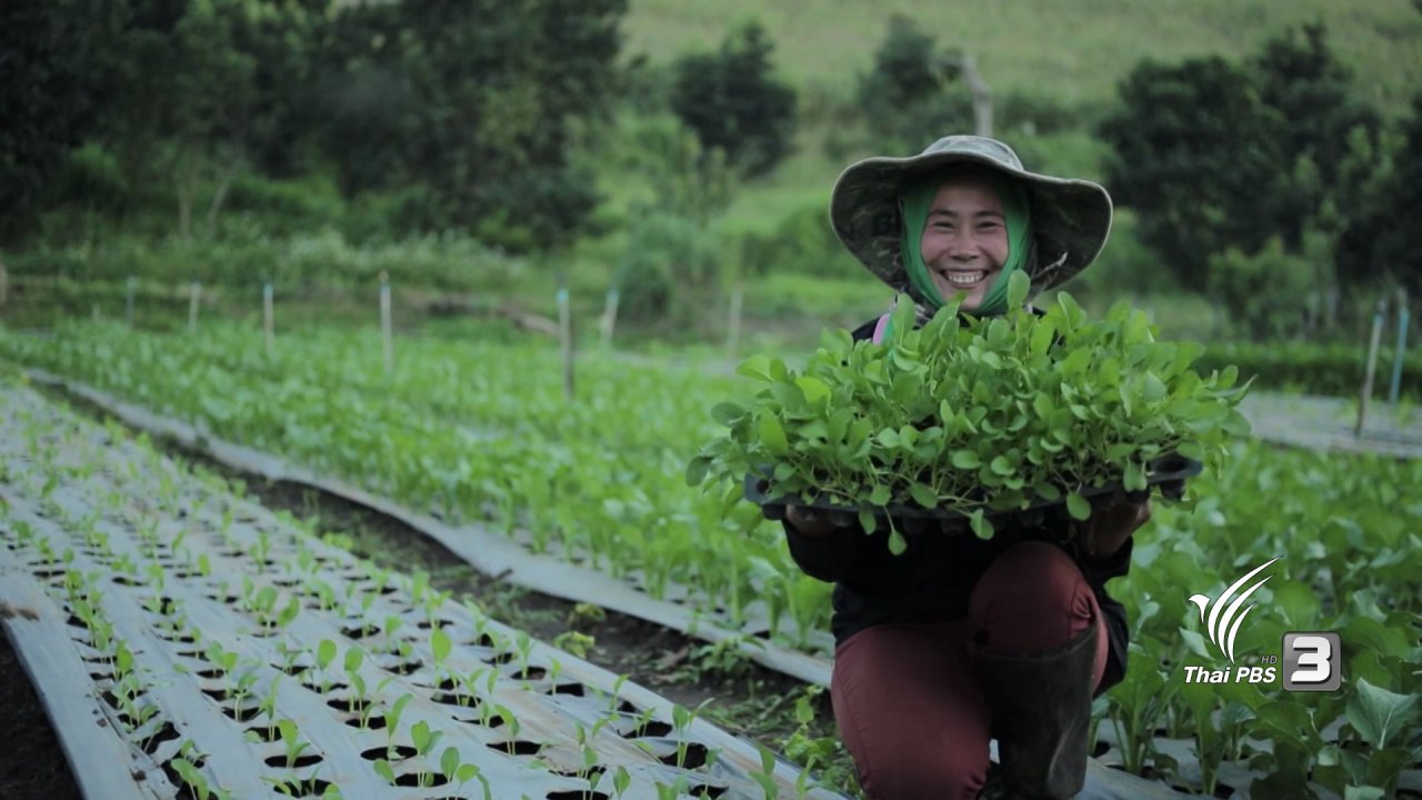 เที่ยวไทยไม่ตกยุค - หางดง – สะเมิง เส้นทางแห่งความสุข จ.เชียงใหม่