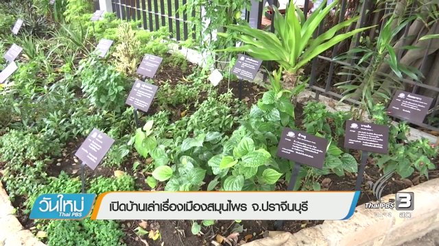 เปิดบ้านเล่าเรื่องเมืองสมุนไพร จ.ปราจีนบุรี