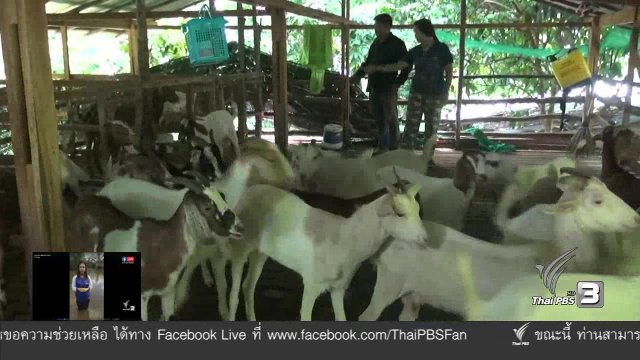 ประเด็นข่าว ( 9 ม.ค. 60)