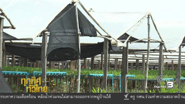 ประเด็นข่าว ( 12 ม.ค. 60)