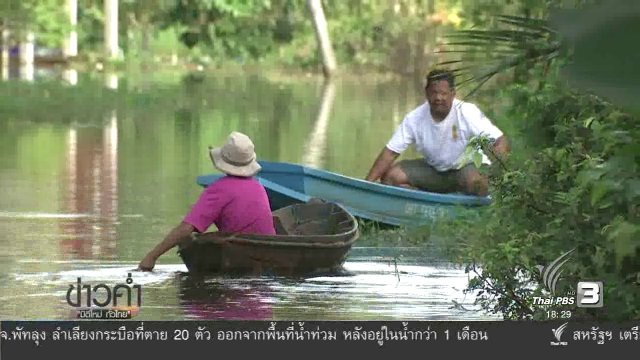 ประเด็นข่าว (12 ม.ค. 60)