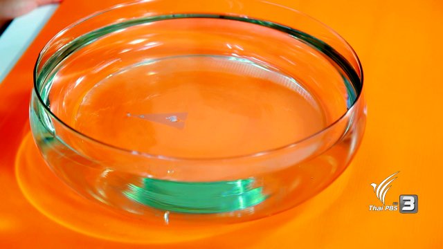 เรือพลังสบู่