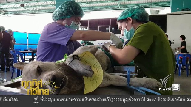 ประเด็นข่าว ( 13 ม.ค. 60)