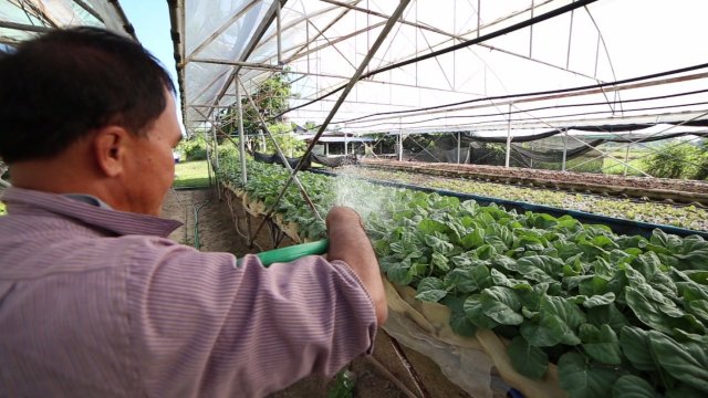 เกษตรแห่งการเรียนรู้ สู่วิถีที่พอเพียง