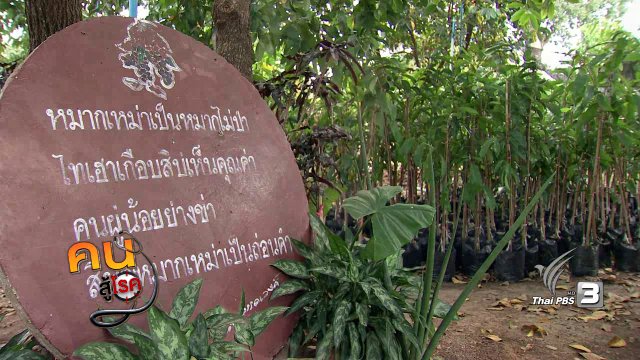 หมากเม่า ทองคำสีดำแห่งเทือกเขาภูพาน, คลินิกเลิกบุหรี่ รพ.น่าน