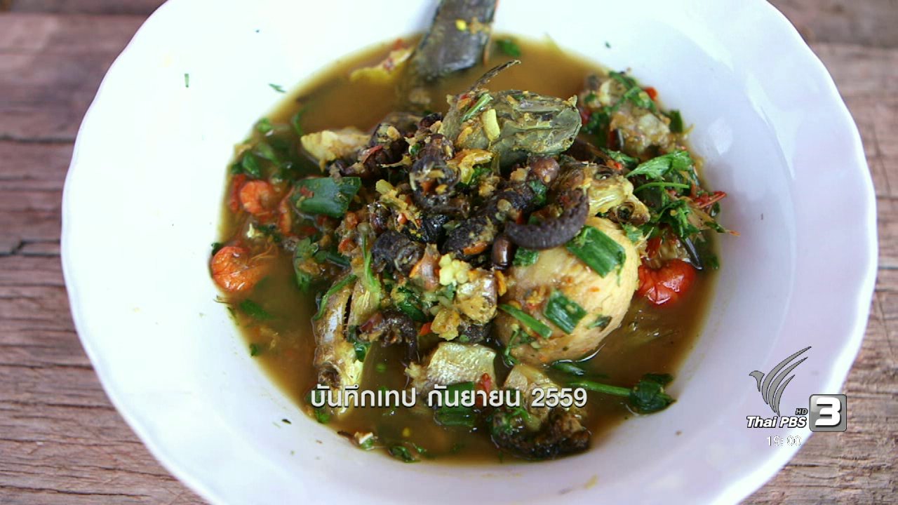 ข่าวค่ำ มิติใหม่ทั่วไทย - ตะลุยทั่วไทย : แมงอีตื่อ