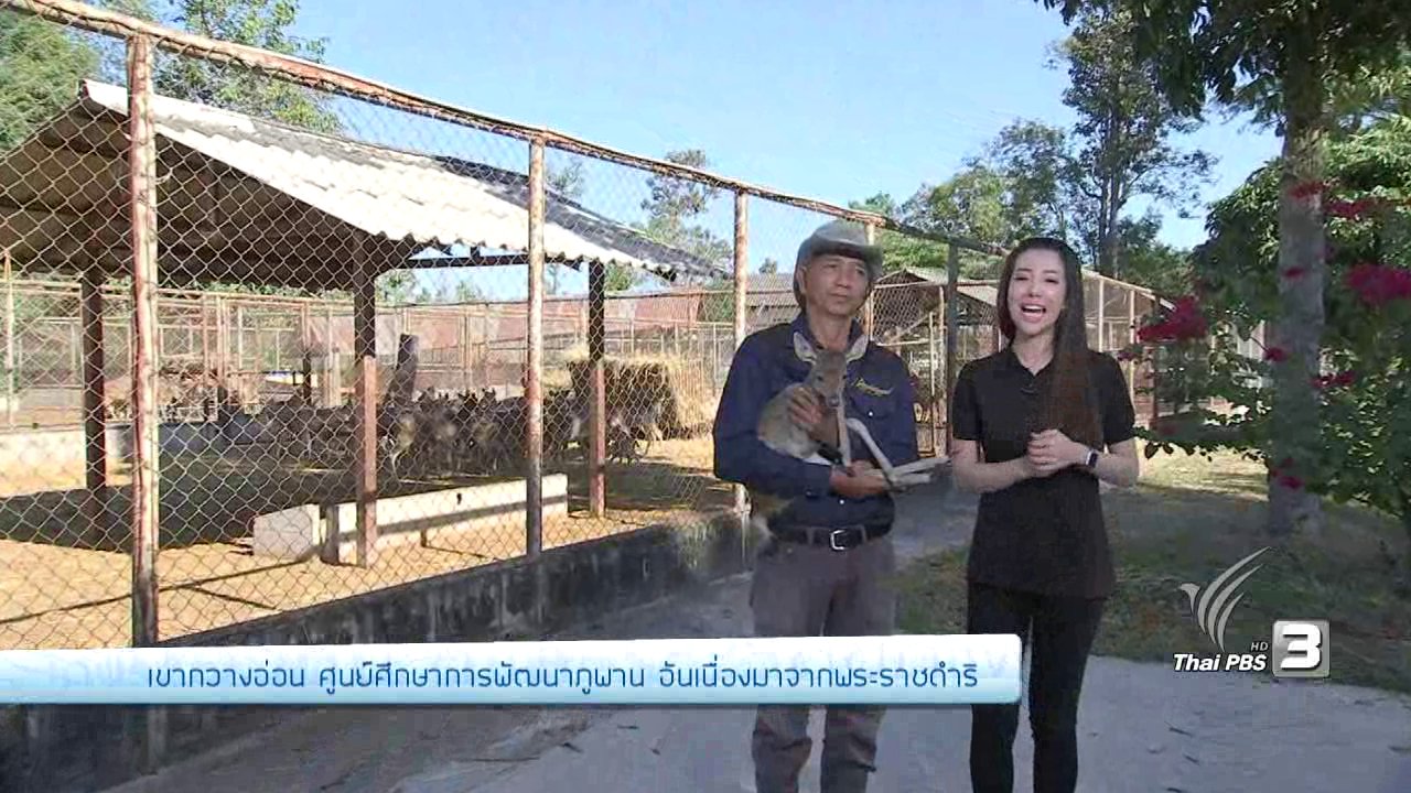 คนสู้โรค - เขากวางอ่อน ศูนย์ศึกษาการพัฒนาภูพานฯ อันเนื่องมาจากพระราชดำริ, วิสาหกิจชุมชน กลุ่มชีววิถีบ้านน้ำเกี๋ยน