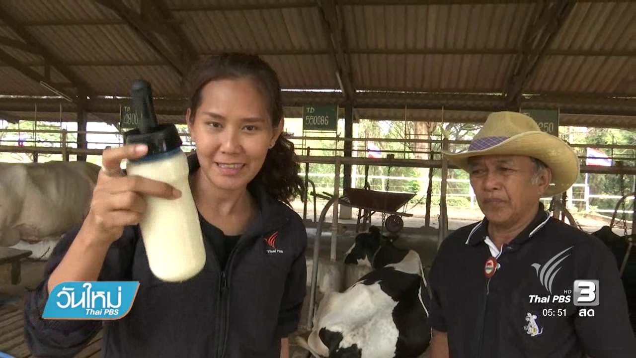 วันใหม่ ไทยพีบีเอส - ท่องเที่ยวเชิงเกษตร "ดื่มนม ชมฟาร์ม"