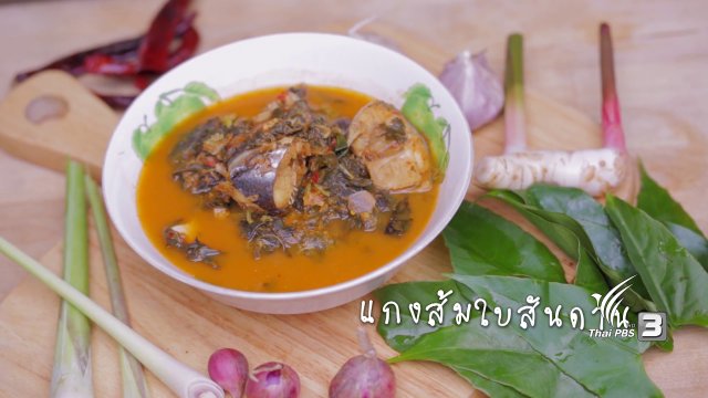 แกงส้มใบสันดาน