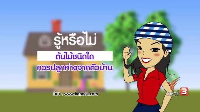 กระจ่างจิต : รู้หรือไม่ต้นไม้ชนิดใดไม่ควรปลูกใกล้บ้าน