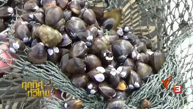 ประเด็นข่าว ( 27 ม.ค. 60)