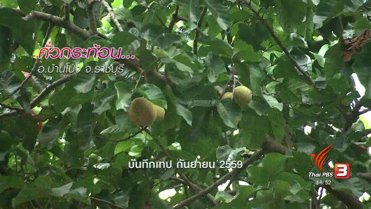 ข่าวค่ำ มิติใหม่ทั่วไทย - ตะลุยทั่วไทย : คั่วกระท้อน อ.บ้านโป่ง จ.ราชบุรี