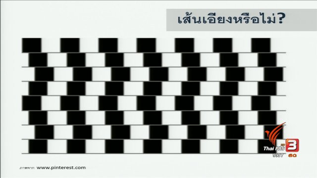 นารีบำบัด : ฝึกสมองด้วยภาพ illusions