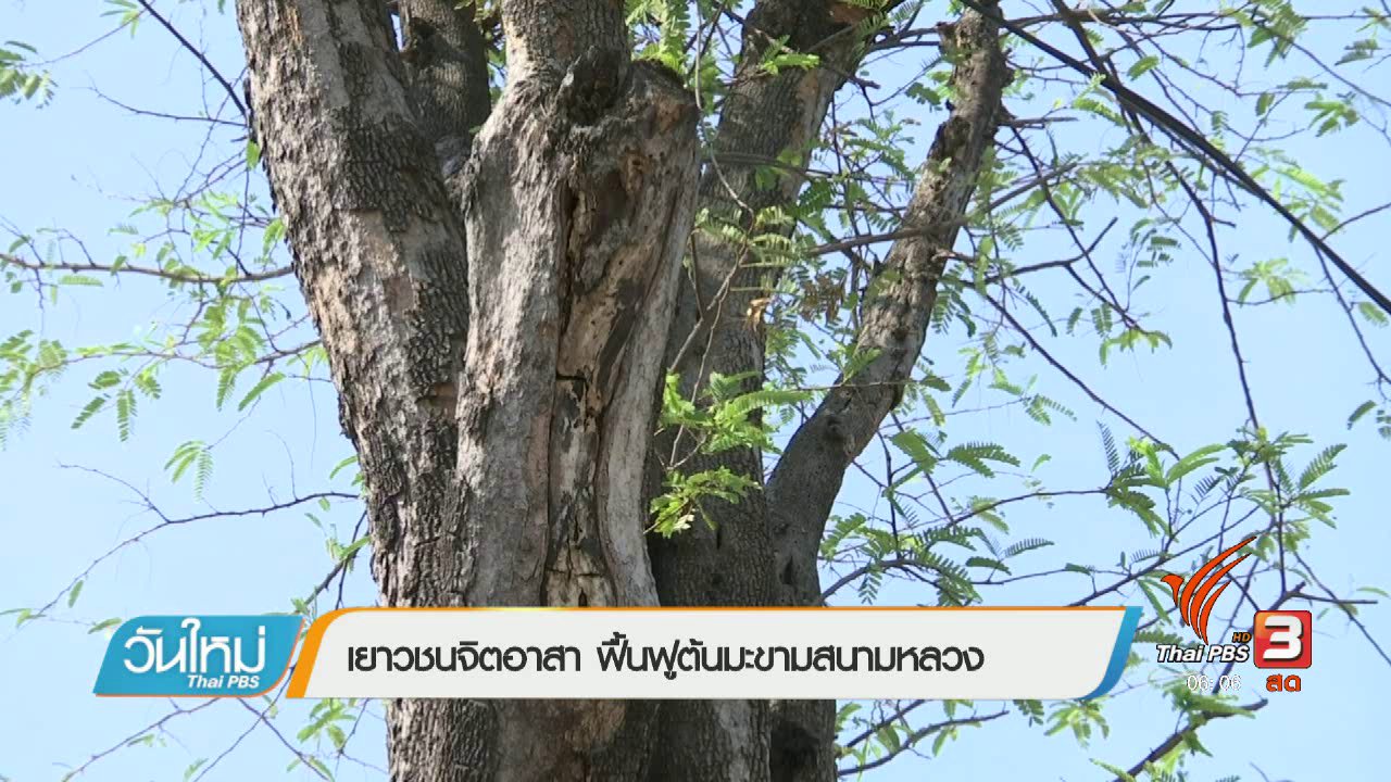 วันใหม่ ไทยพีบีเอส - เยาวชนจิตอาสา ฟื้นฟูต้นมะขามสนามหลวง
