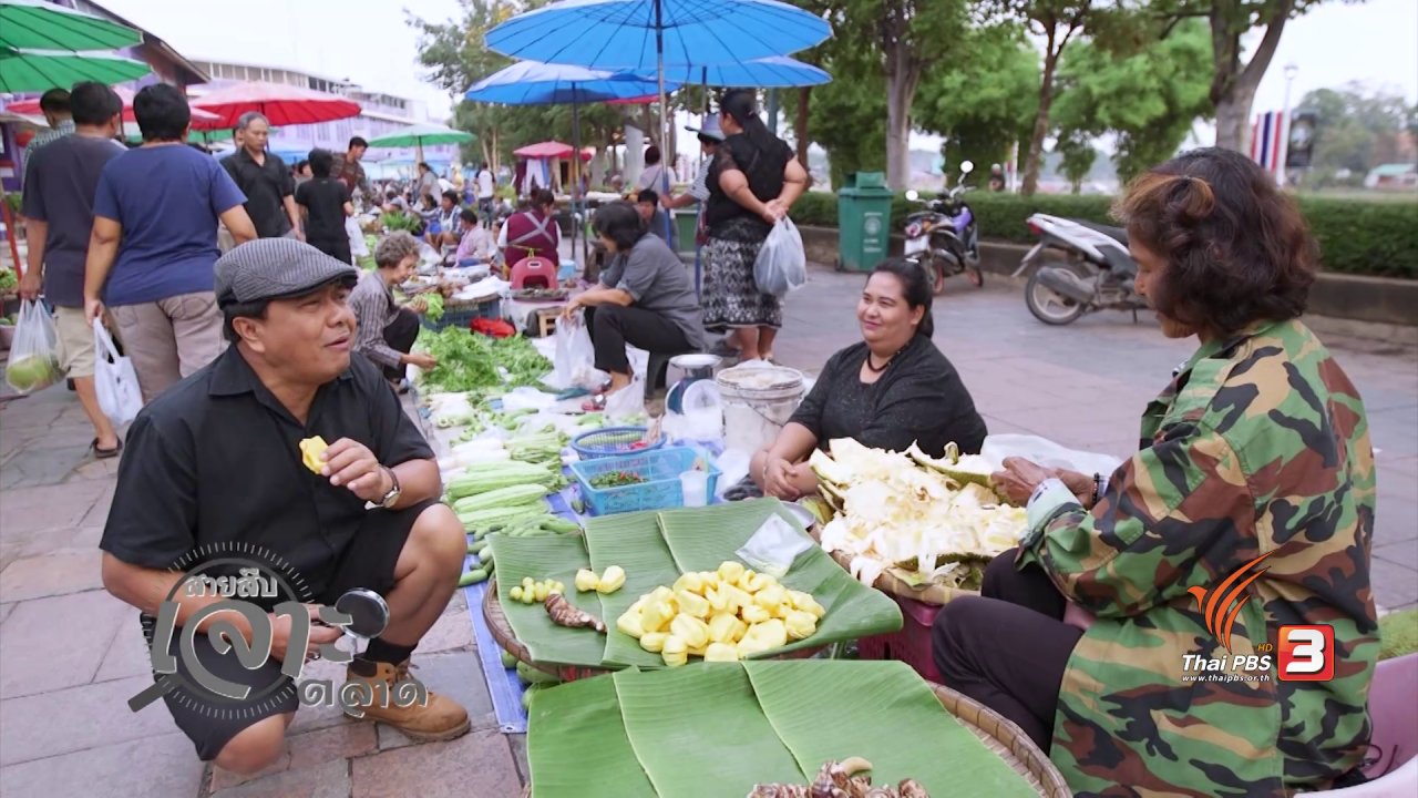 วันใหม่ ไทยพีบีเอส - สายสืบเจาะตลาด : สืบราคาอาหาร และผักพื้นบ้านตลาดริมแม่น้ำสะแกกรัง จ.อุทัยธานี