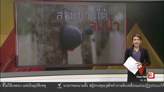 สวนยางใต้จมน้ำ